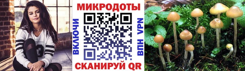 Псилоцибиновые грибы Magic Shrooms  Купить где  Грязи 